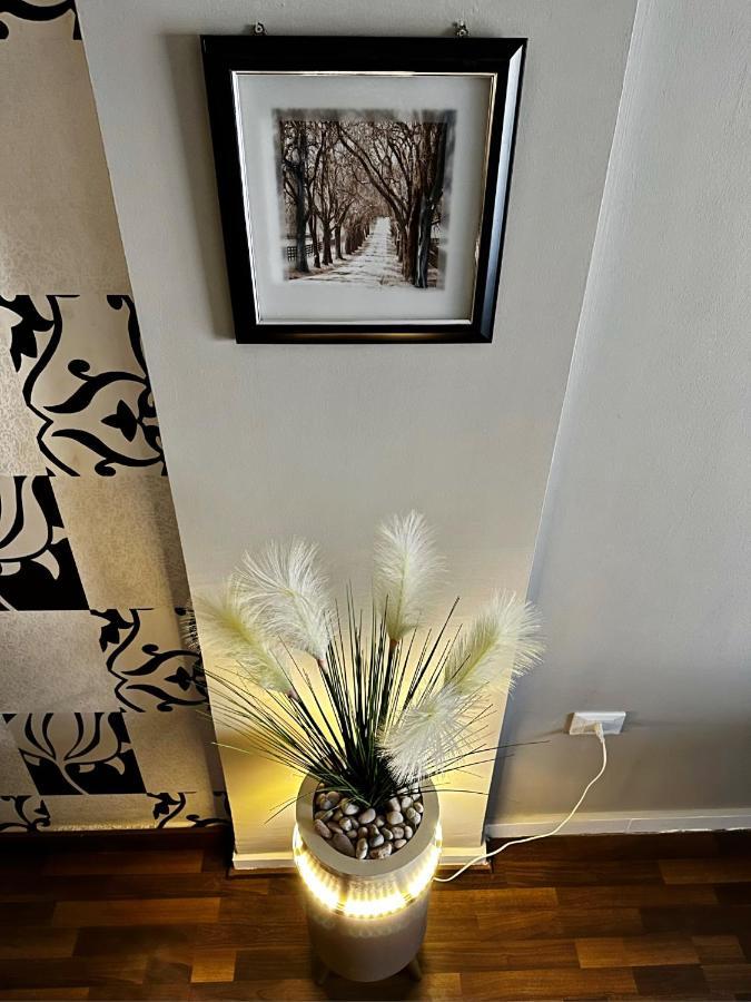 The Arabella House - New *